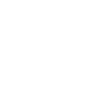 White_AI Icon